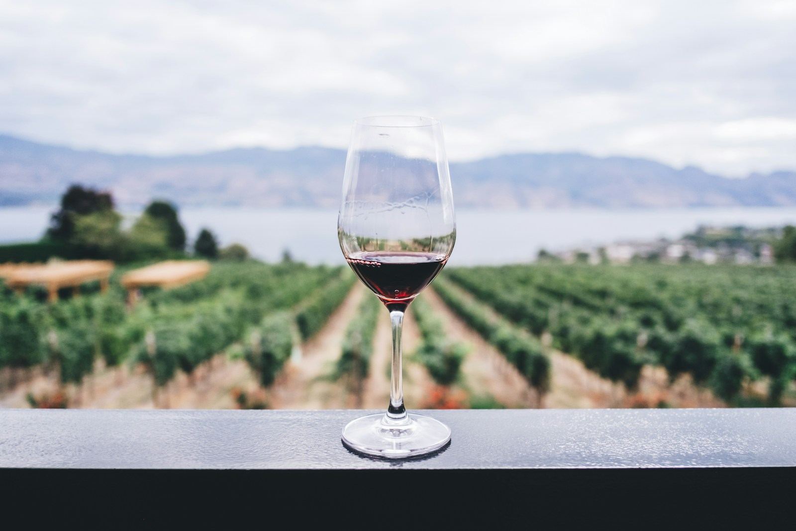 Copa de vino tinto frente a un viñedo con montañas de fondo