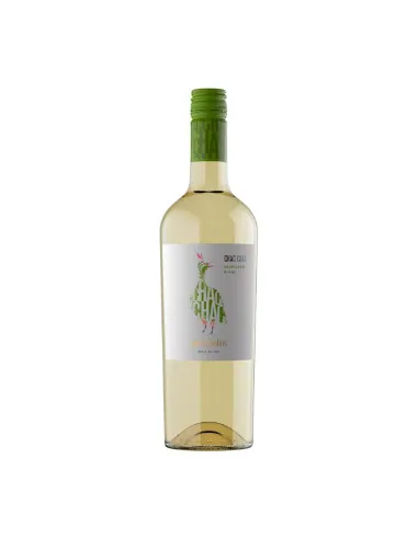 Botella de Chac Chac Sauvignon Blanc 750 ml, vino blanco