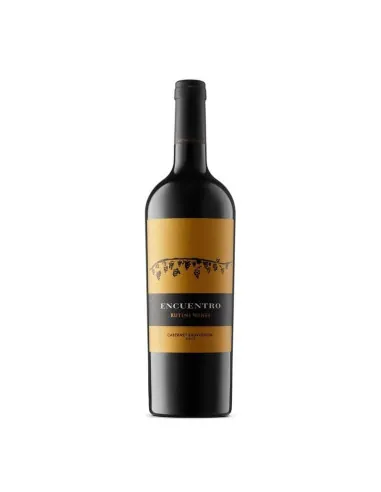 Botella de Encuentro Cabernet Sauvignon 750 ml, vino tinto